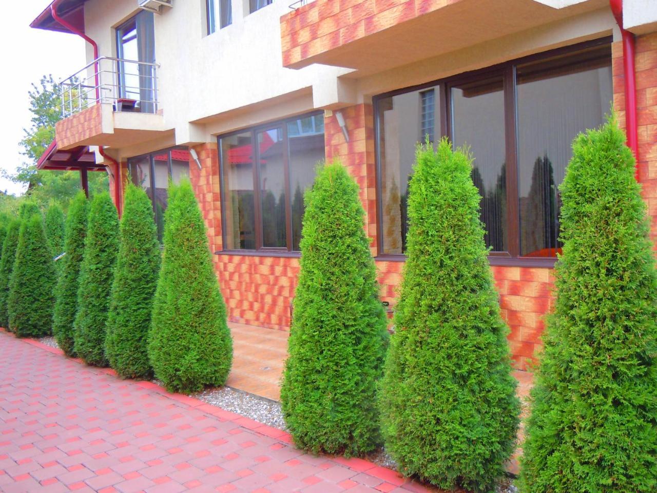 Pensiunea Marina Cîmpina Luaran gambar