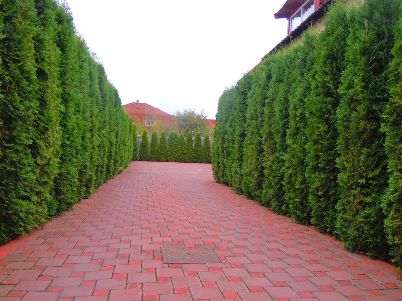 Pensiunea Marina Cîmpina Luaran gambar